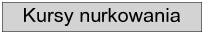 Bali kurs nurkowania