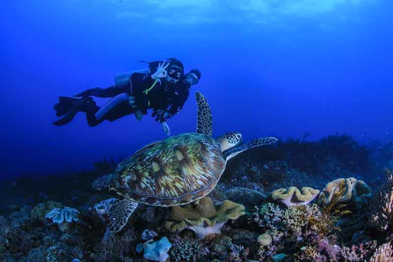 introductory-diving-bali